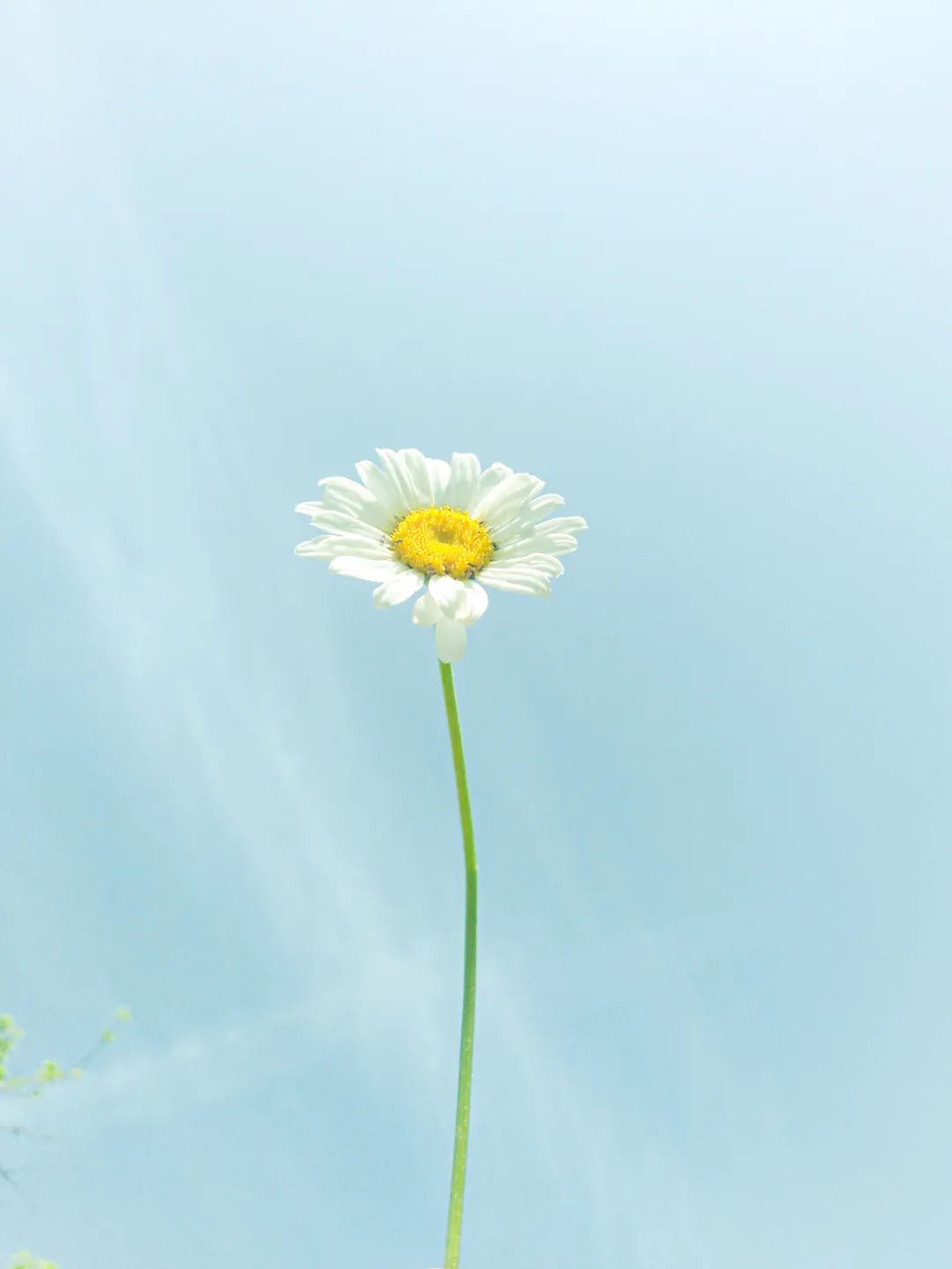 七言：别让世俗淹没生活的浪漫和热情