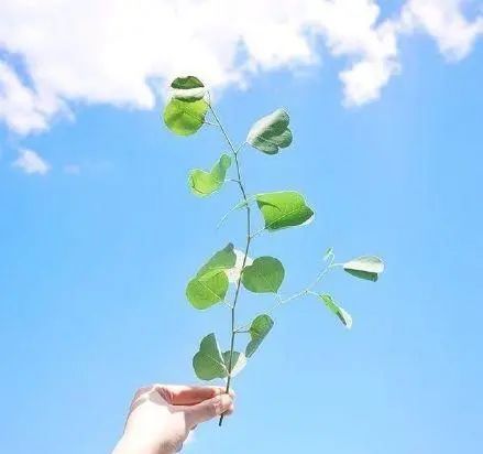 人生真谛的哲理语录，句句毒辣，话糙理不糙！