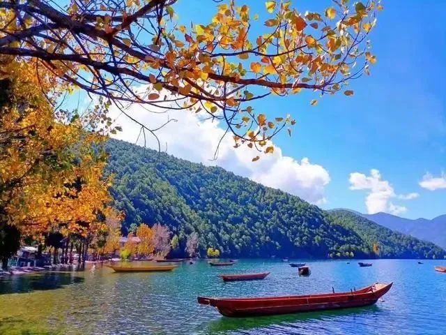 九月再见：人间忽晚，山河已秋
