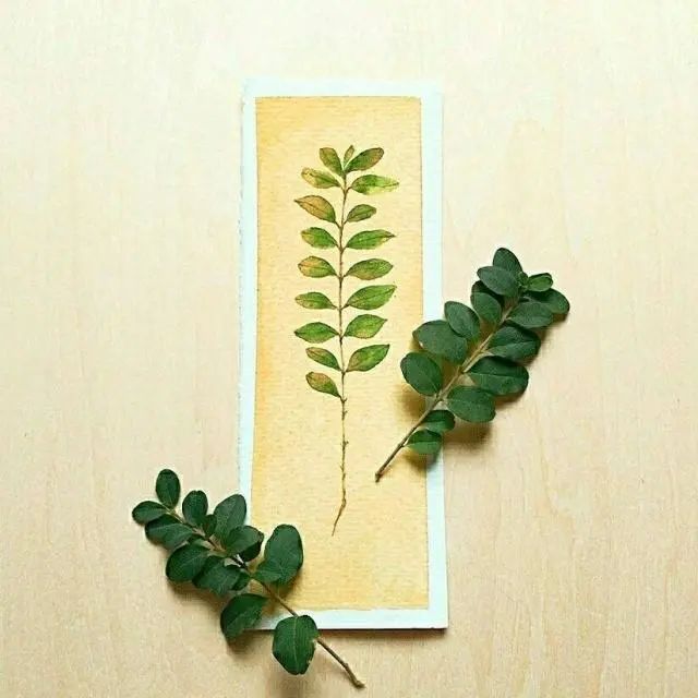 朋友圈最火的人生哲理语录，内容引起极度舒适！